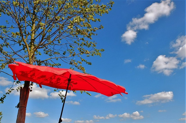 umbrella-2417130_640